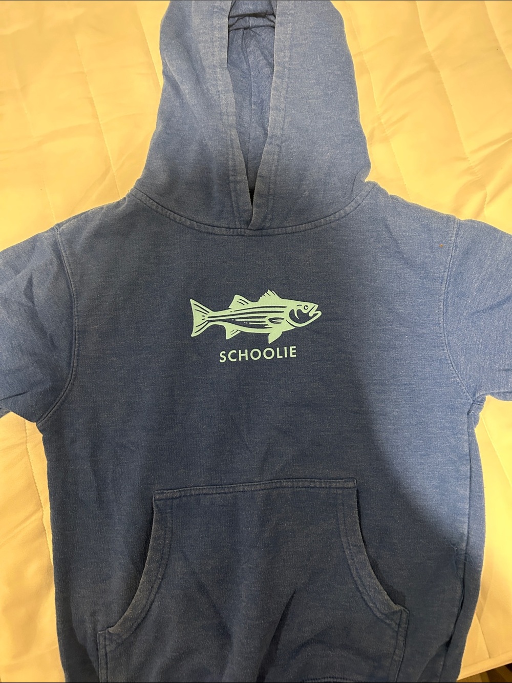 Kids Blue Hooded Sweatshirt with Mint Fish Graphic